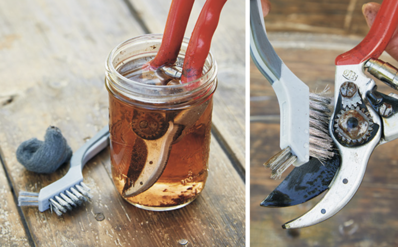 Supplies Needed to Fix Rusty Garden Pruning Shears