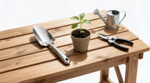 Beginner gardening tools on wooden table