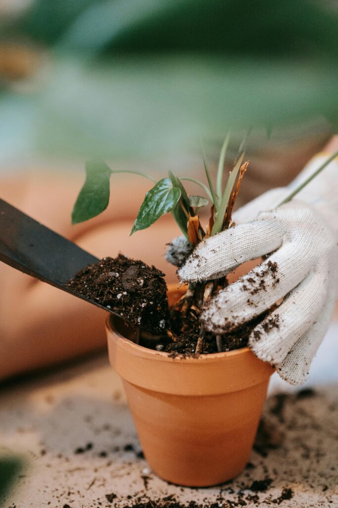 Hand Trowel, Pruning Shears, Gardening Gloves for Beginners