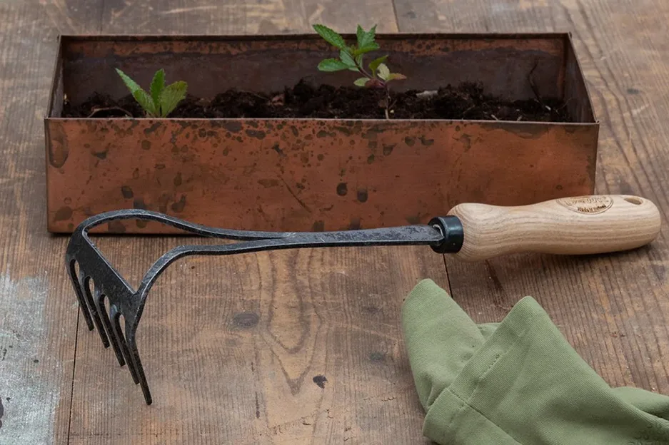 Mini garden rake loosening potted soil