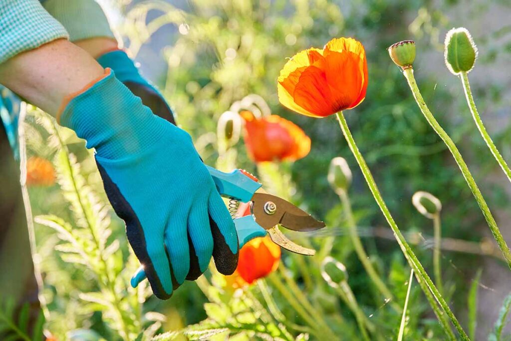 Waterproof gardening gloves for turning soil in potted vegetable garden