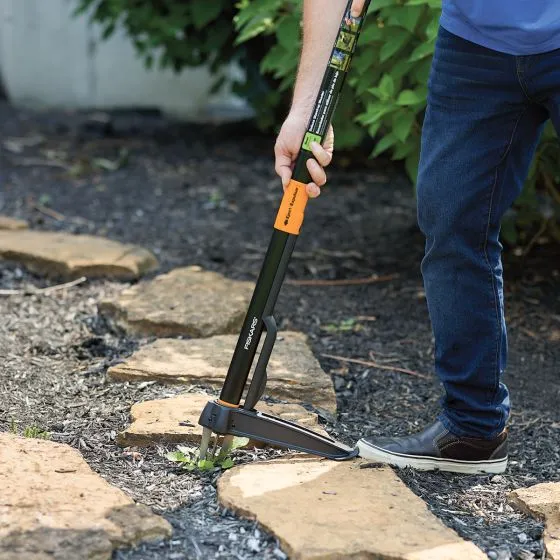 Elderly man using long-handle no-bend weeder while standing
