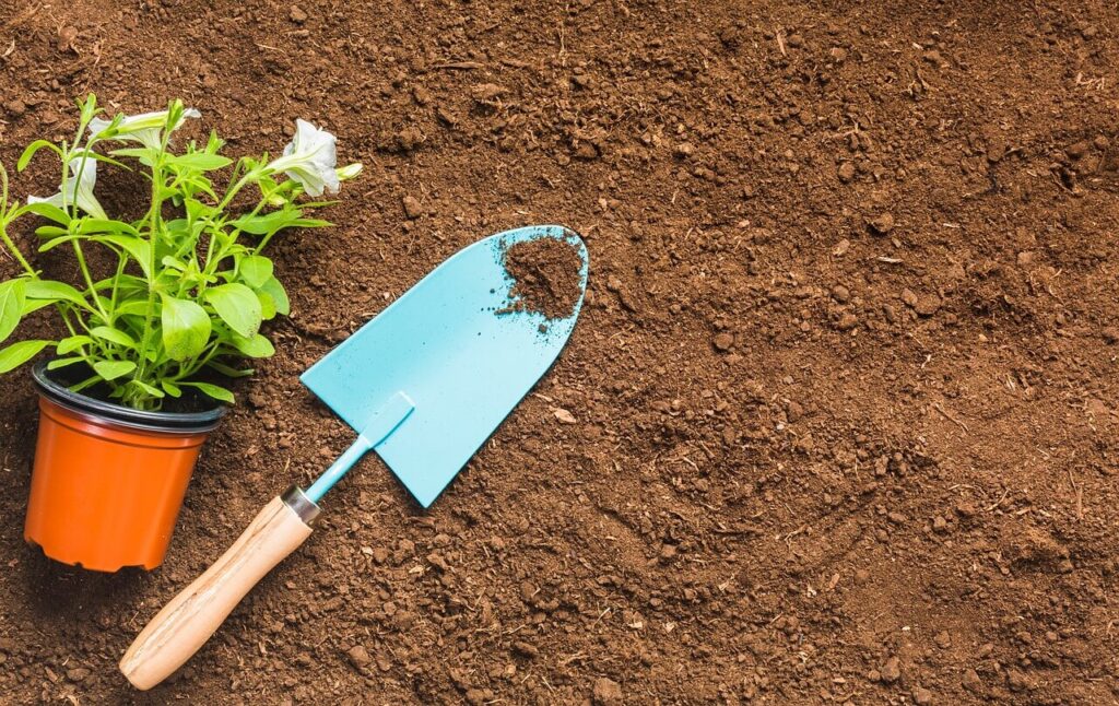 Garden trowel with metal blade embedded in soil, wooden handle visible