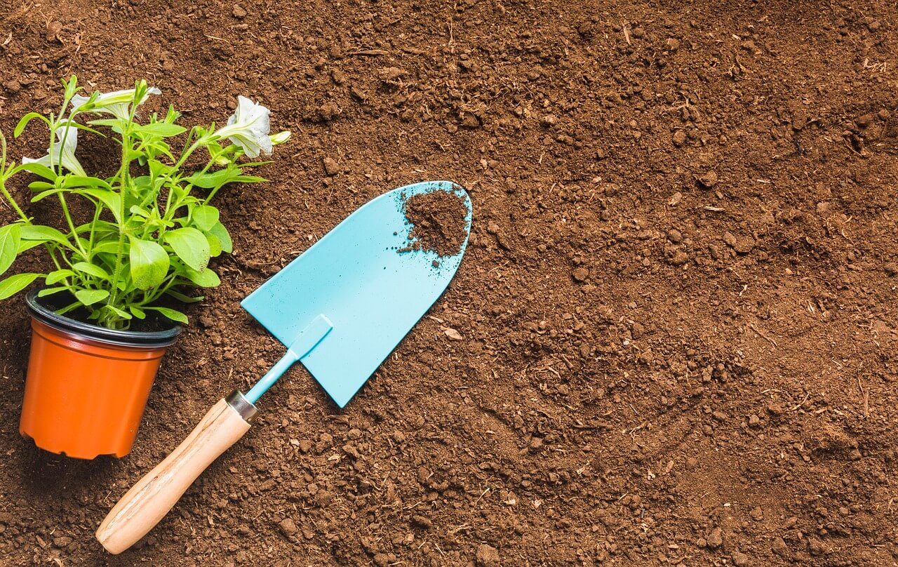 Garden trowel with metal blade embedded in soil, wooden handle visible