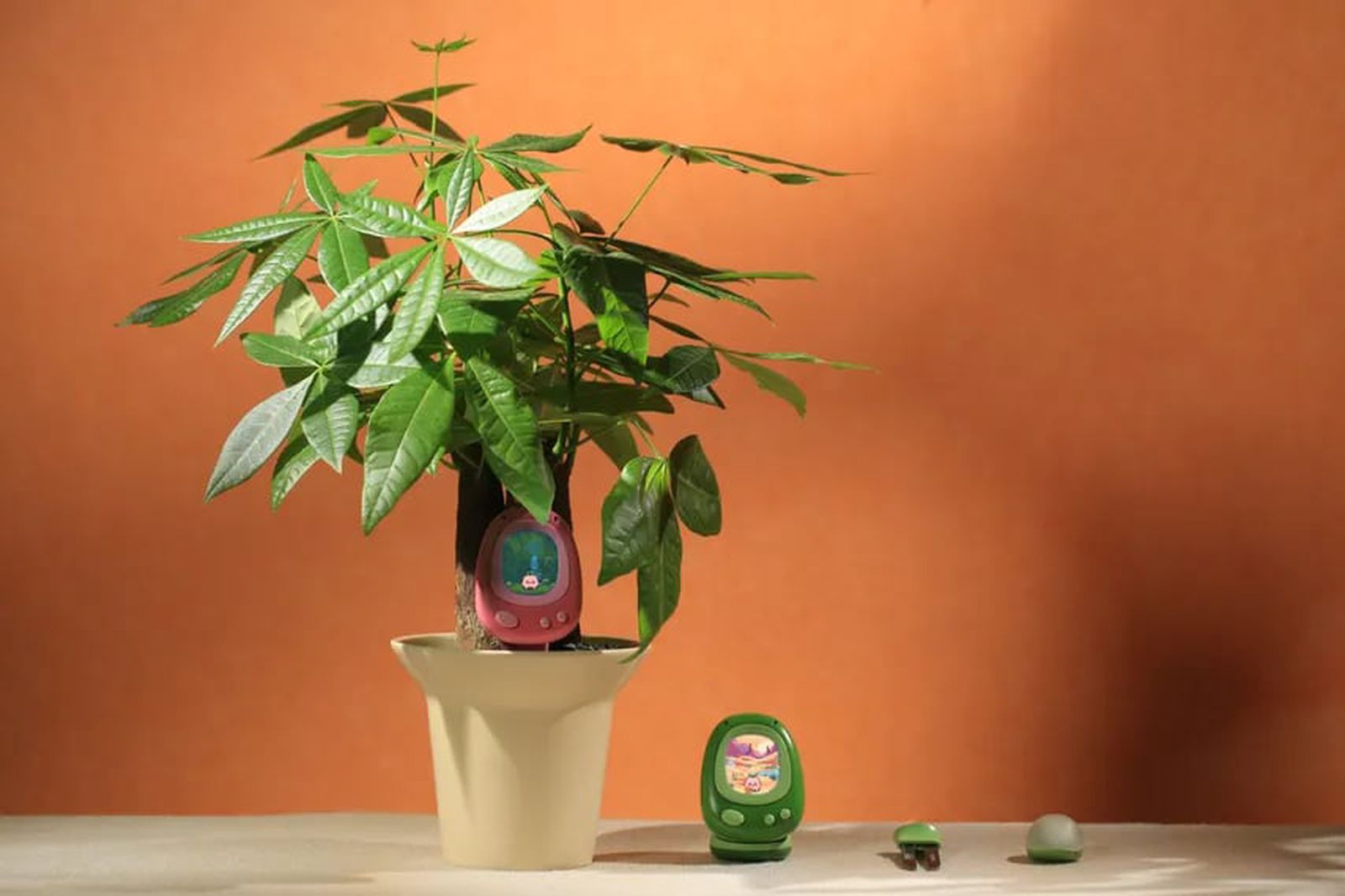 Senso smart plant sensor with pixel pet interface on smartphone screen