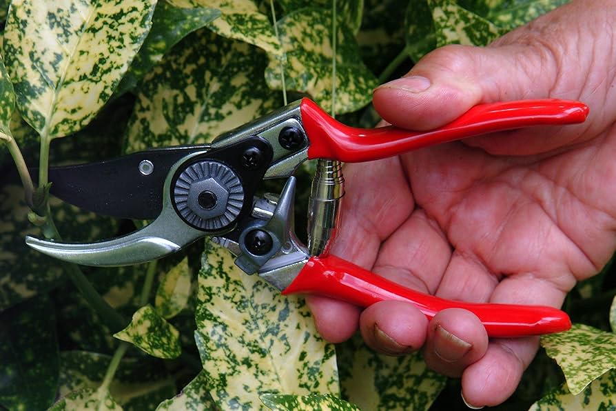 compact pruning shears for seniors small hands precision cutting