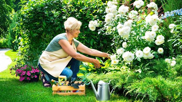 senior gardening with easy grip lightweight tools comfortable gardening