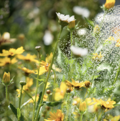 Senior gardener watering flowers with portable hose reel, no bending needed