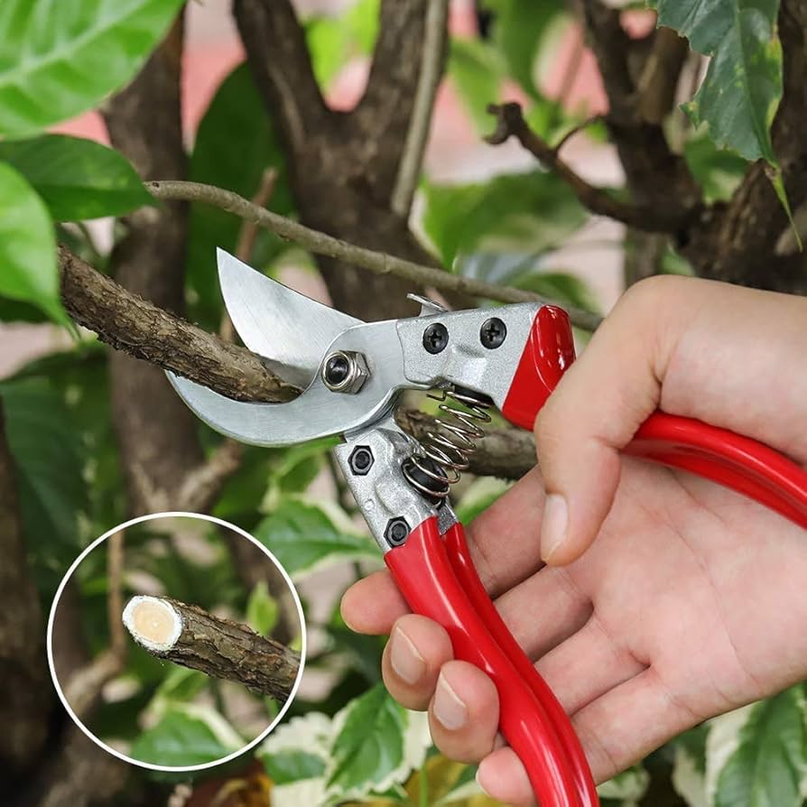 soft grip pruning shears for seniors reduce hand fatigue
